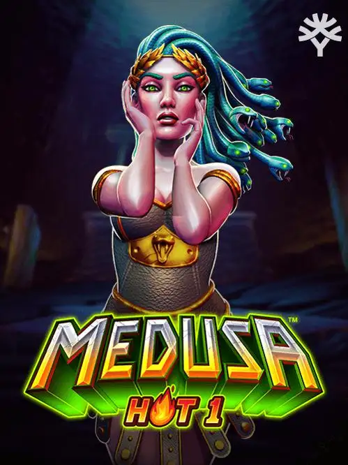 Jogo de dardos profissional