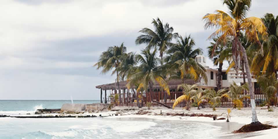 Djurgardens